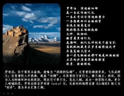 探索世界,尽在像我这种发财树断头了,还能长高吗?蜗牛问答平台