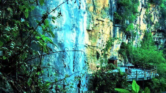 虫虫助手下载